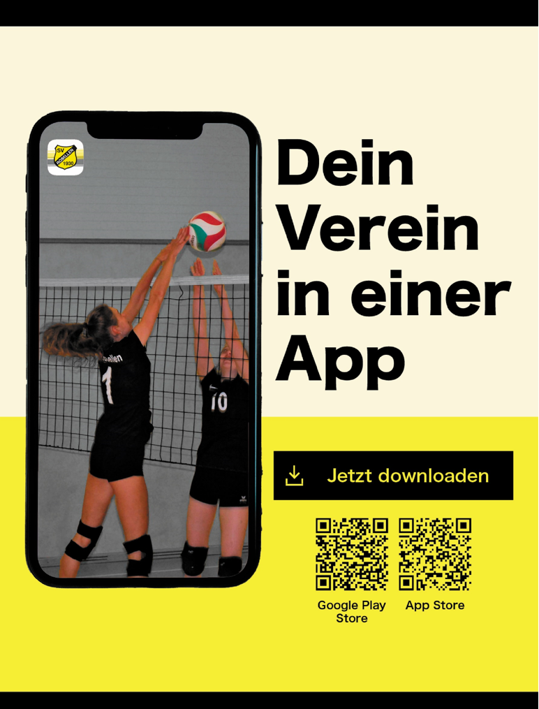 Poster A3 Volleyball